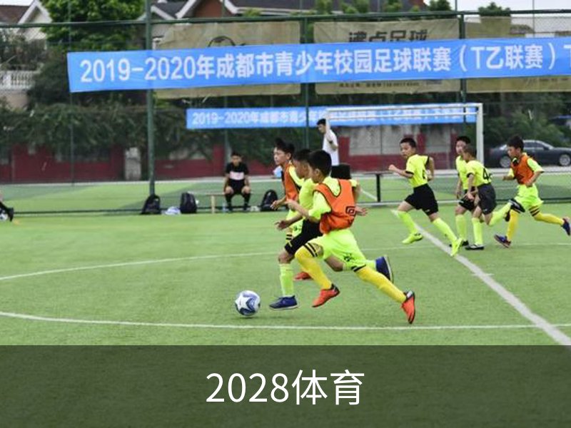 2028体育 · (中国)官方网站